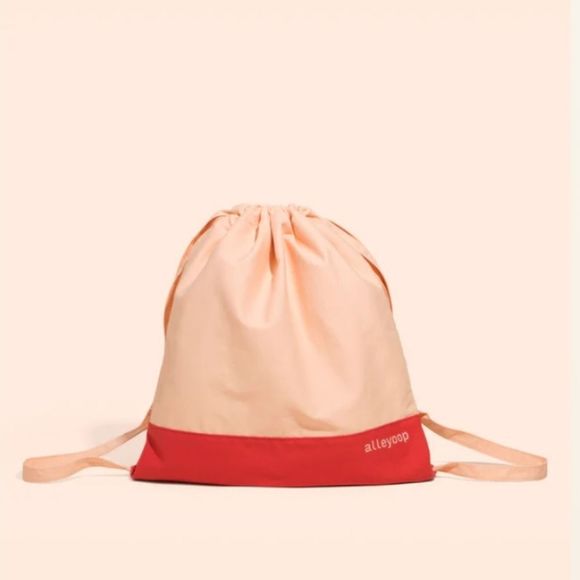 ALLEYOOP Beauty MVP Set with Tote (Swatched) - Picture 14 of 16